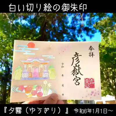 写真は、後ろから日光を当てています。