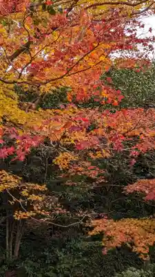 法金剛院(京都府)