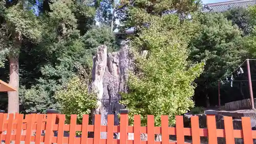 鶴岡八幡宮(神奈川県)