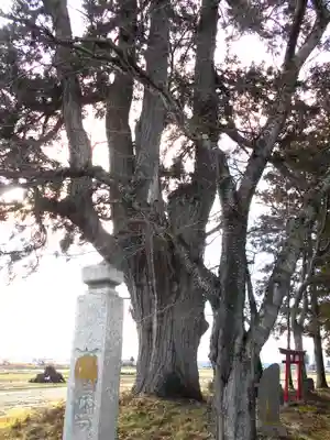 福聚山養泉寺(福島県)