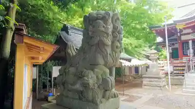 南沢氷川神社の狛犬