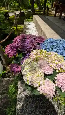 勝林寺(京都府)