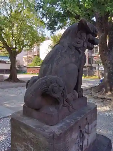 橘樹神社(神奈川県)