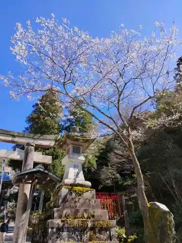 伊奈波神社の自然