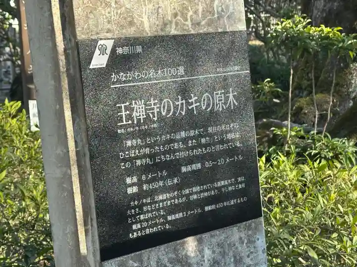 王禅寺の{uncategorized: "未分類", other: "その他", undefined: "問題あり", building: "その他建物", grave: "お墓", sacred_gate: "鳥居", guardian: "狛犬", statue: "像", buddha: "仏像", history: "歴史", nature: "自然", garden: "庭園", animal: "動物", pagoda: "塔", temizu: "手水舎", mountain_gate: "山門・神門", sanctuary: "本殿・本堂", subordinate: "末社・摂社", art: "芸術", scenery: "景色", jizo: "地蔵", ema: "絵馬", goshuin: "御朱印", omikuji: "おみくじ", items: "授与品その他", amulet: "お守り", goshuincho: "御朱印帳", eats: "食事", festival: "お祭り", votive_dance: "神楽", shichigosan: "七五三参", wedding: "結婚式", experience: "体験その他", initially: "初詣", around: "周辺", anti_infection: "感染症対策"}