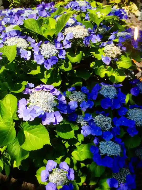 光明院(東京都)