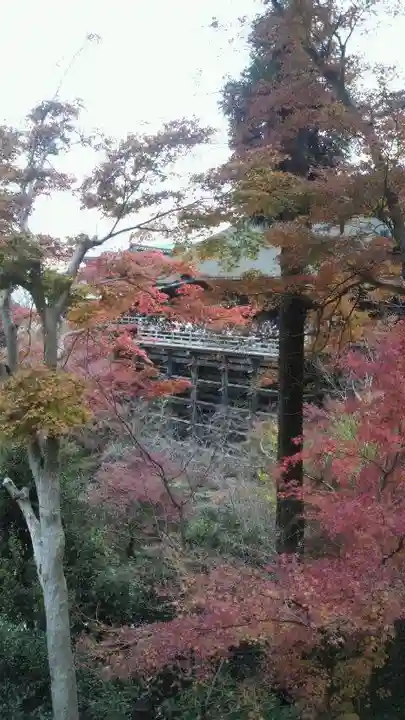 清水寺の本殿・本堂