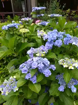 本郷氷川神社(東京都)