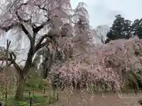 福星寺(千葉県)