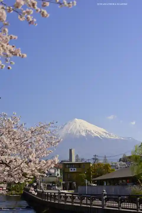富士山本宮浅間大社(静岡県)