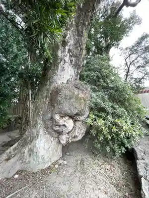 織殿神社(三重県)