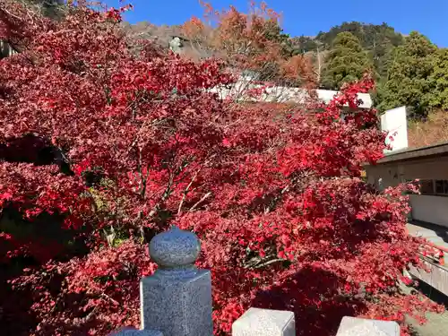 大山阿夫利神社(神奈川県)