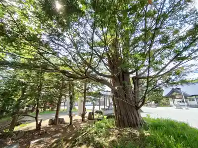 浜頓別神社(北海道)
