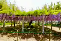 志那神社(滋賀県)