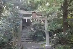 赤坂氷川神社の鳥居