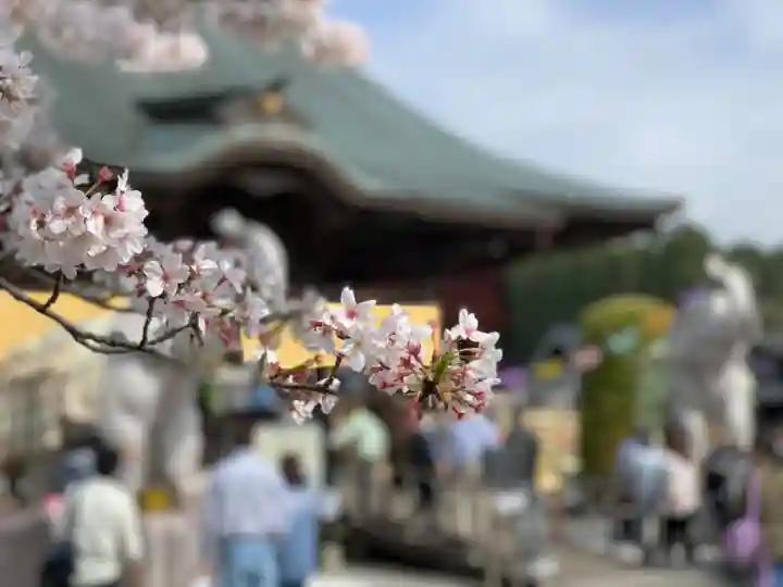 長福寿寺の自然