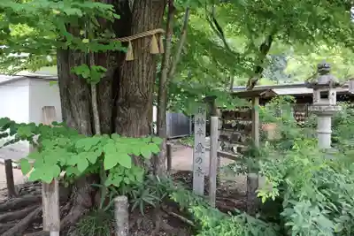 梨木神社(京都府)