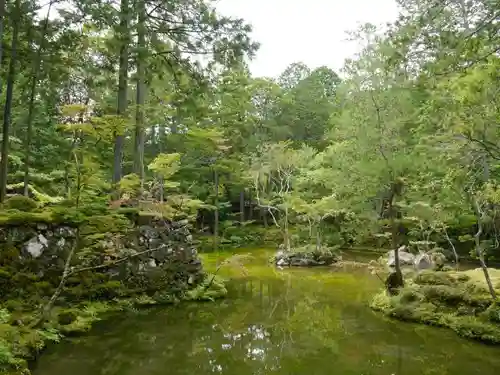 西芳寺の庭園