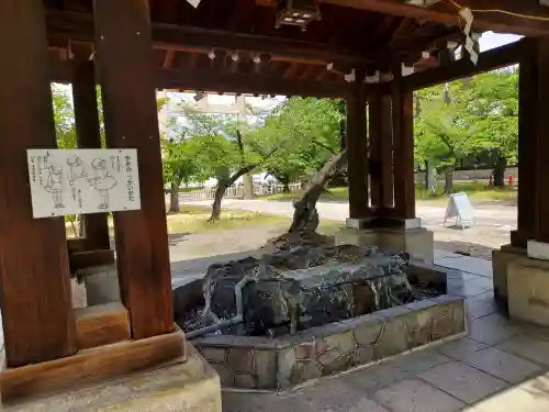 大阪護國神社(大阪府)