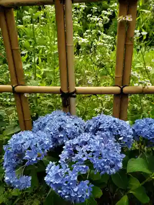 白金氷川神社(東京都)