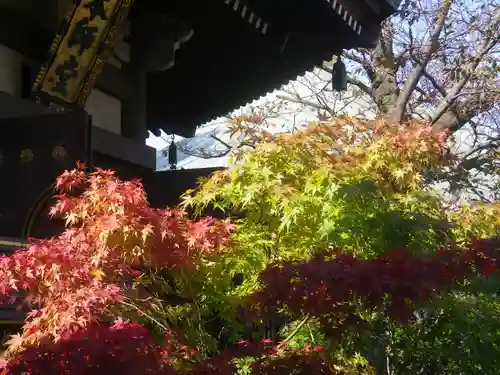 長勝寺の景色