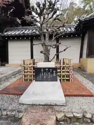 大雲院(京都府)