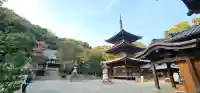 石手寺の{uncategorized: "未分類", other: "その他", undefined: "問題あり", building: "その他建物", grave: "お墓", sacred_gate: "鳥居", guardian: "狛犬", statue: "像", buddha: "仏像", history: "歴史", nature: "自然", garden: "庭園", animal: "動物", pagoda: "塔", temizu: "手水舎", mountain_gate: "山門・神門", sanctuary: "本殿・本堂", subordinate: "末社・摂社", art: "芸術", scenery: "景色", jizo: "地蔵", ema: "絵馬", goshuin: "御朱印", omikuji: "おみくじ", items: "授与品その他", amulet: "お守り", goshuincho: "御朱印帳", eats: "食事", festival: "お祭り", votive_dance: "神楽", shichigosan: "七五三参", wedding: "結婚式", experience: "体験その他", initially: "初詣", around: "周辺", anti_infection: "感染症対策"}
