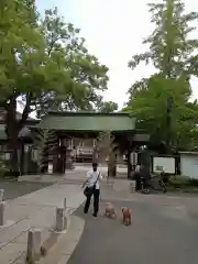 葛飾八幡宮(千葉県)