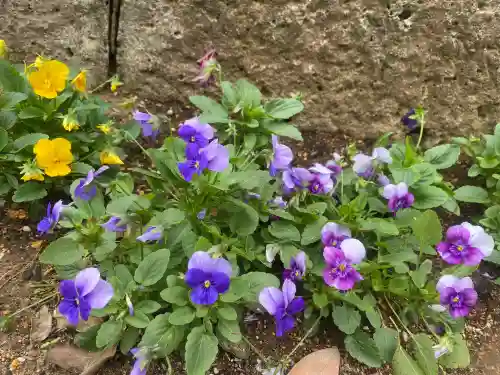 椿ノ海　水神社(千葉県)