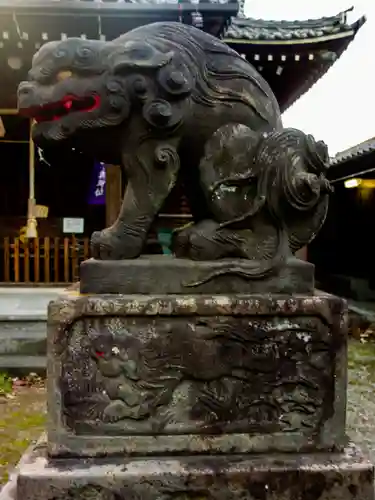 末吉神社の狛犬