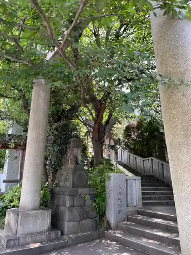 雉子神社の自然