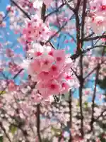 佐嘉神社・松原神社の自然