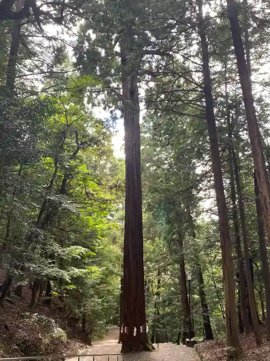 元伊勢内宮 皇大神社(京都府)