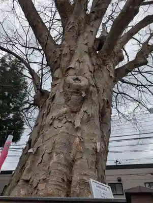 住吉神社(岩手県)
