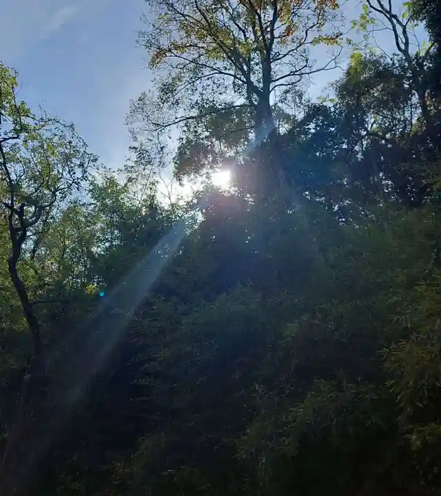 刺田比古神社(和歌山県)