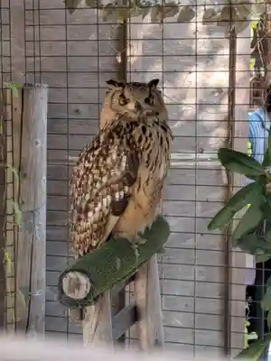 宮地嶽神社(福岡県)