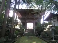 寳光寺　鹿野大佛(東京都)