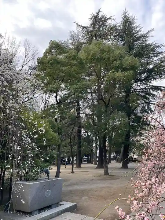 川口神社(埼玉県)