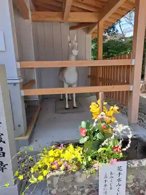 立江八幡神社(徳島県)