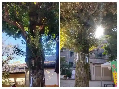 蛇窪神社(東京都)