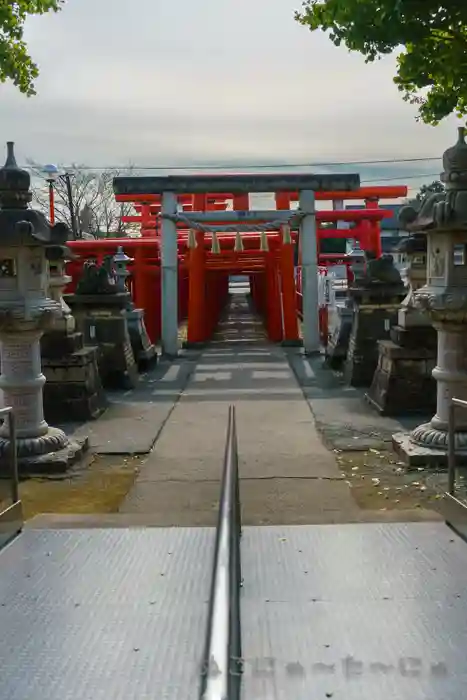 小泉稲荷神社の鳥居