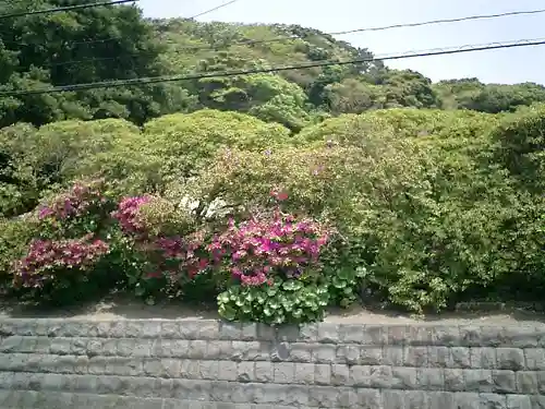 安養院　(田代寺）の自然