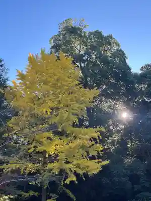 円覚寺(神奈川県)