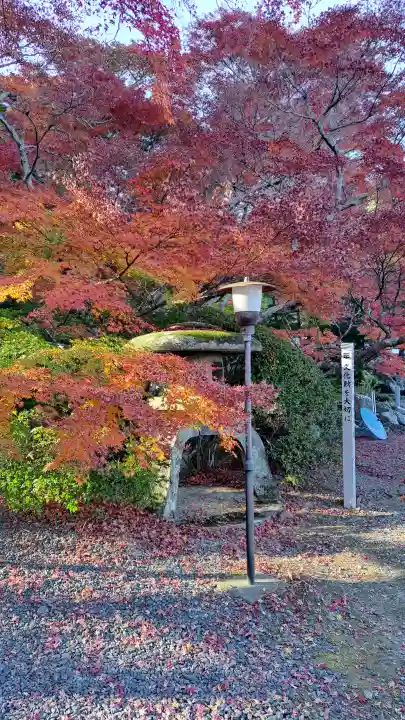 宝蔵寺の{uncategorized: "未分類", other: "その他", undefined: "問題あり", building: "その他建物", grave: "お墓", sacred_gate: "鳥居", guardian: "狛犬", statue: "像", buddha: "仏像", history: "歴史", nature: "自然", garden: "庭園", animal: "動物", pagoda: "塔", temizu: "手水舎", mountain_gate: "山門・神門", sanctuary: "本殿・本堂", subordinate: "末社・摂社", art: "芸術", scenery: "景色", jizo: "地蔵", ema: "絵馬", goshuin: "御朱印", omikuji: "おみくじ", items: "授与品その他", amulet: "お守り", goshuincho: "御朱印帳", eats: "食事", festival: "お祭り", votive_dance: "神楽", shichigosan: "七五三参", wedding: "結婚式", experience: "体験その他", initially: "初詣", around: "周辺", anti_infection: "感染症対策"}