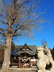 賀羅加波神社(広島県)