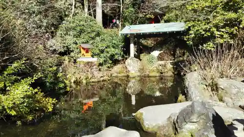 箱根神社の庭園