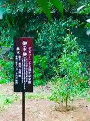 大宝八幡宮の歴史