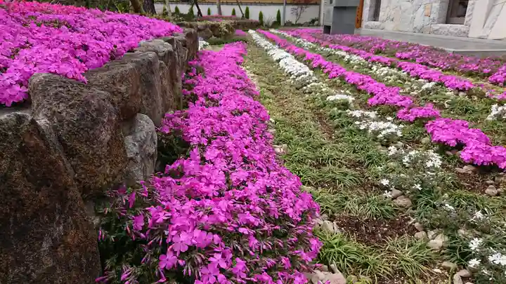 寿量山 速成寺の自然