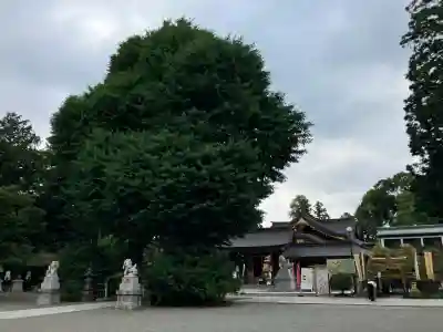 亀ケ池八幡宮(神奈川県)