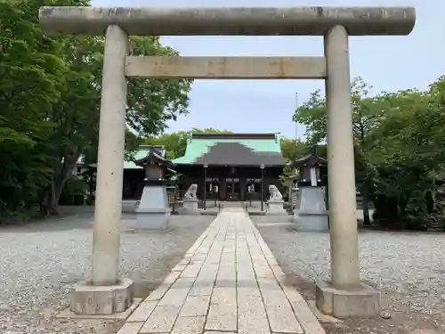 丸子神社　浅間神社の鳥居